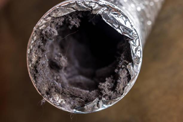 Best Dryer Vent Cleaning Services  in Watford City, ND